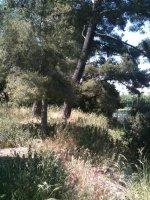 terrain gavotte