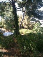 terrain gavotte